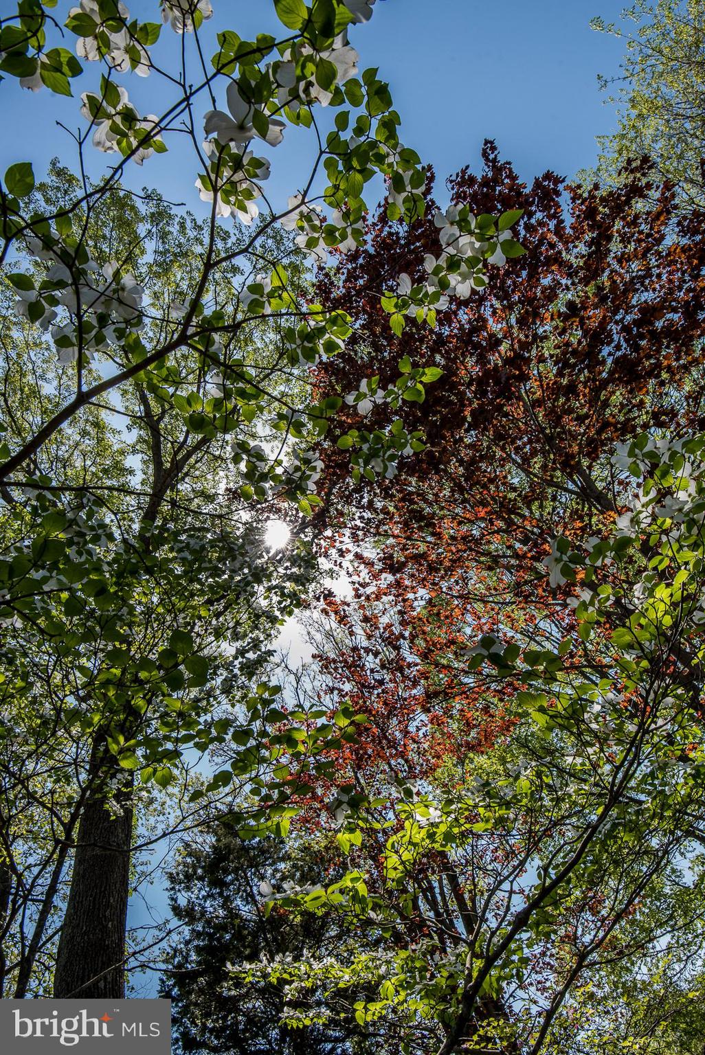 5627 Gunner Run Road Churchton, MD 20733 - Photo 61 of 81