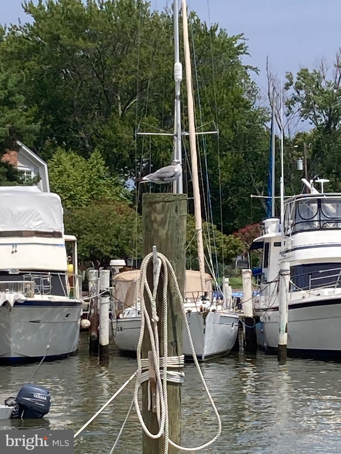 5627 Gunner Run Road Churchton, MD 20733 - Photo 65 of 81 Nearby Deale Maryland has lots to do!