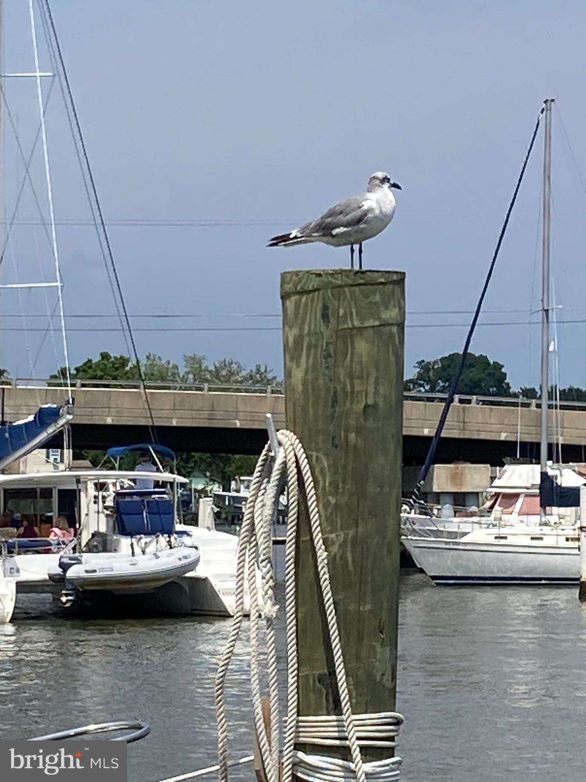 5627 Gunner Run Road Churchton, MD 20733 - Photo 66 of 81 Rockhold Creek, with marinas, restaurants & more!