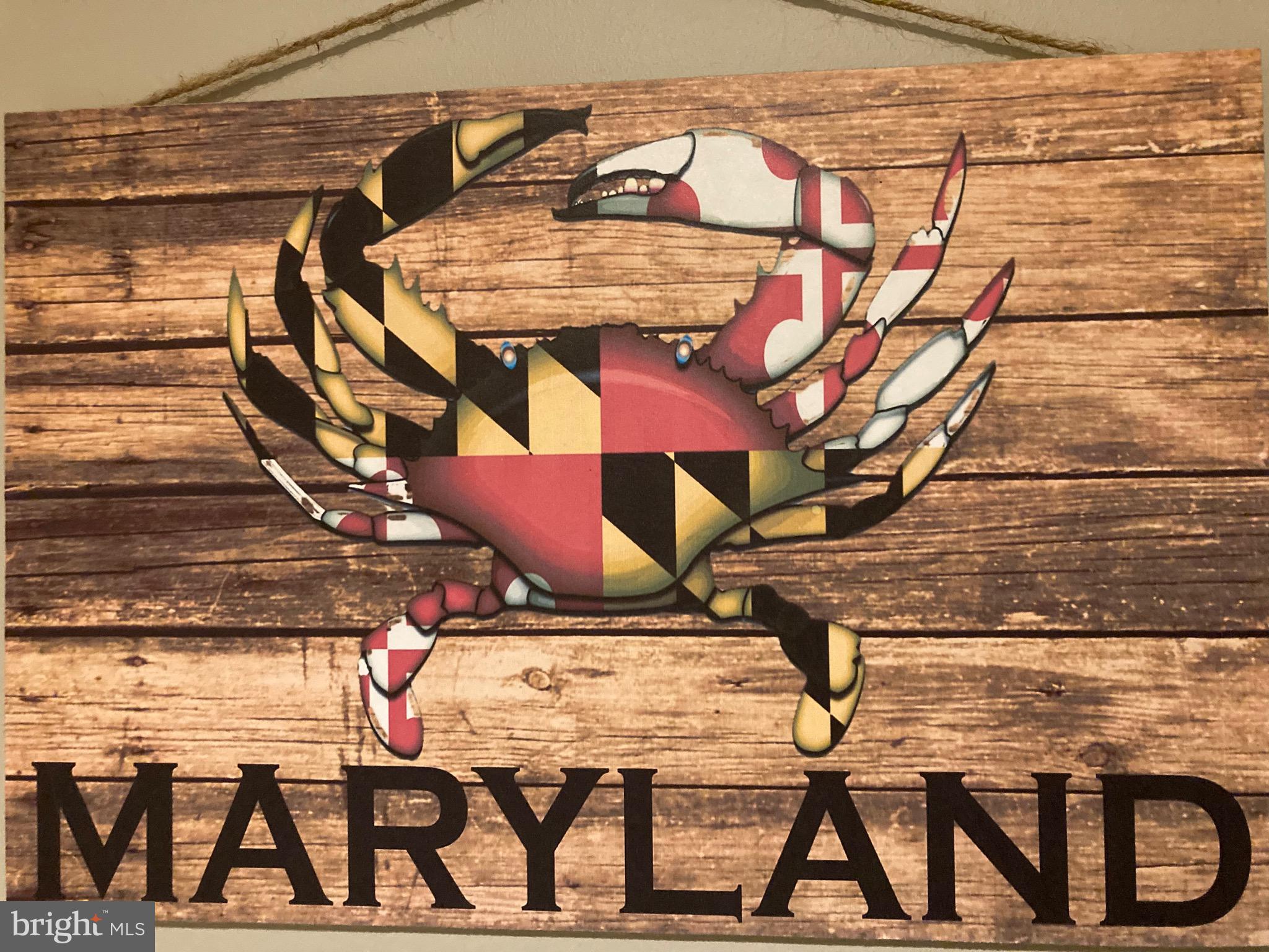 5627 Gunner Run Road Churchton, MD 20733 - Photo 70 of 81 Maryland loves our flag and crabs!