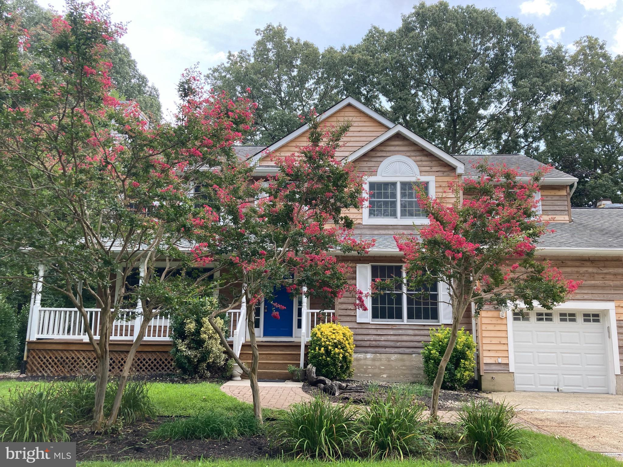 5627 Gunner Run Road Churchton, MD 20733 - Photo 10 of 81 Crepe Myrtles in bloom