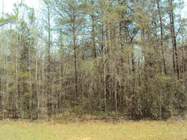 0 Mockingbird Lane Atmore, AL 36502 - Photo 1 of 3
