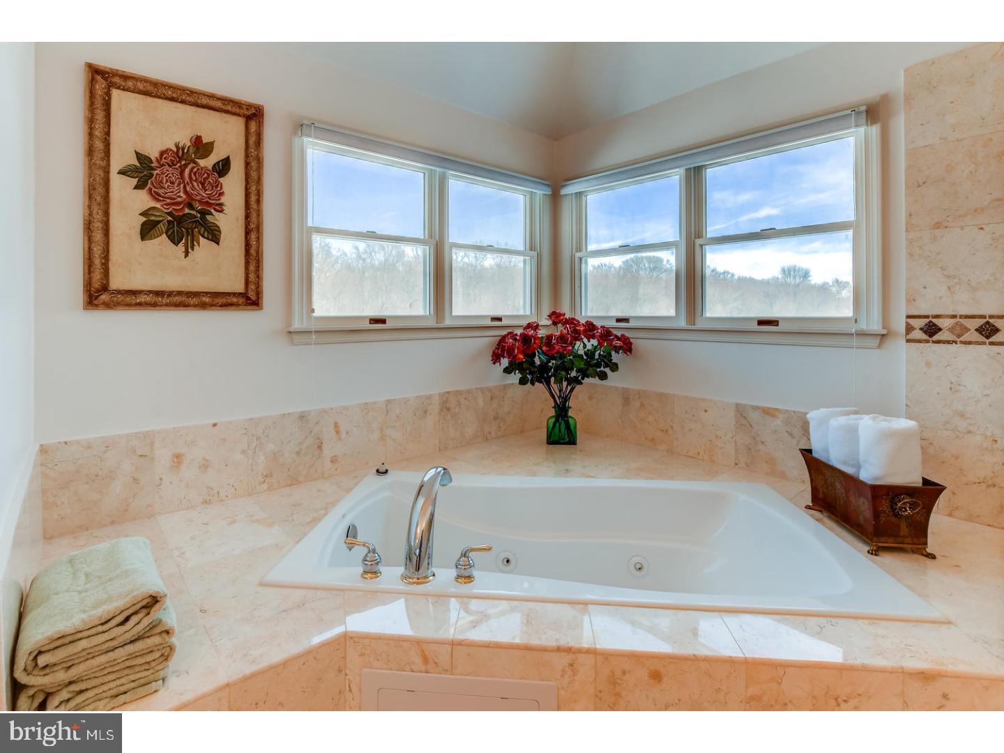 29 Zaitz Farm Road Princeton Junction, NJ 08550 - Photo 17 of 25 Master Bathroom