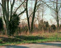 Catwalk Road Bagdad, KY 40003 - Photo 1 of 1 Primary Photo