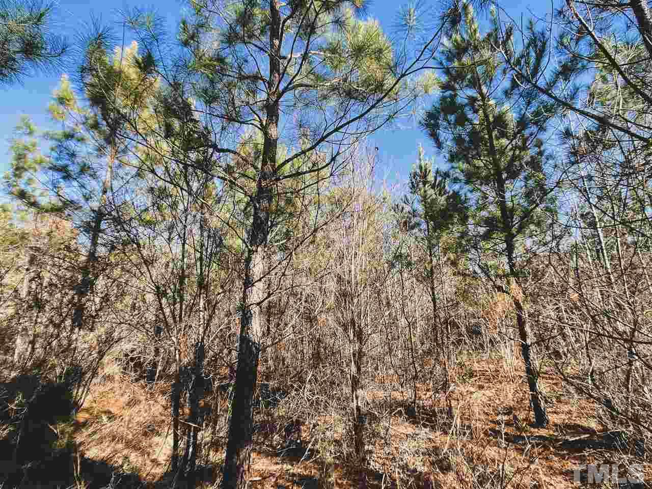 65-ac Cassam Road Bahama, NC 27503 - Photo 19 of 30