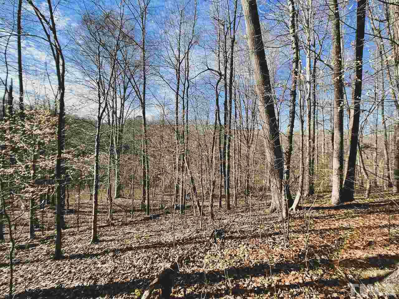65-ac Cassam Road Bahama, NC 27503 - Photo 26 of 30