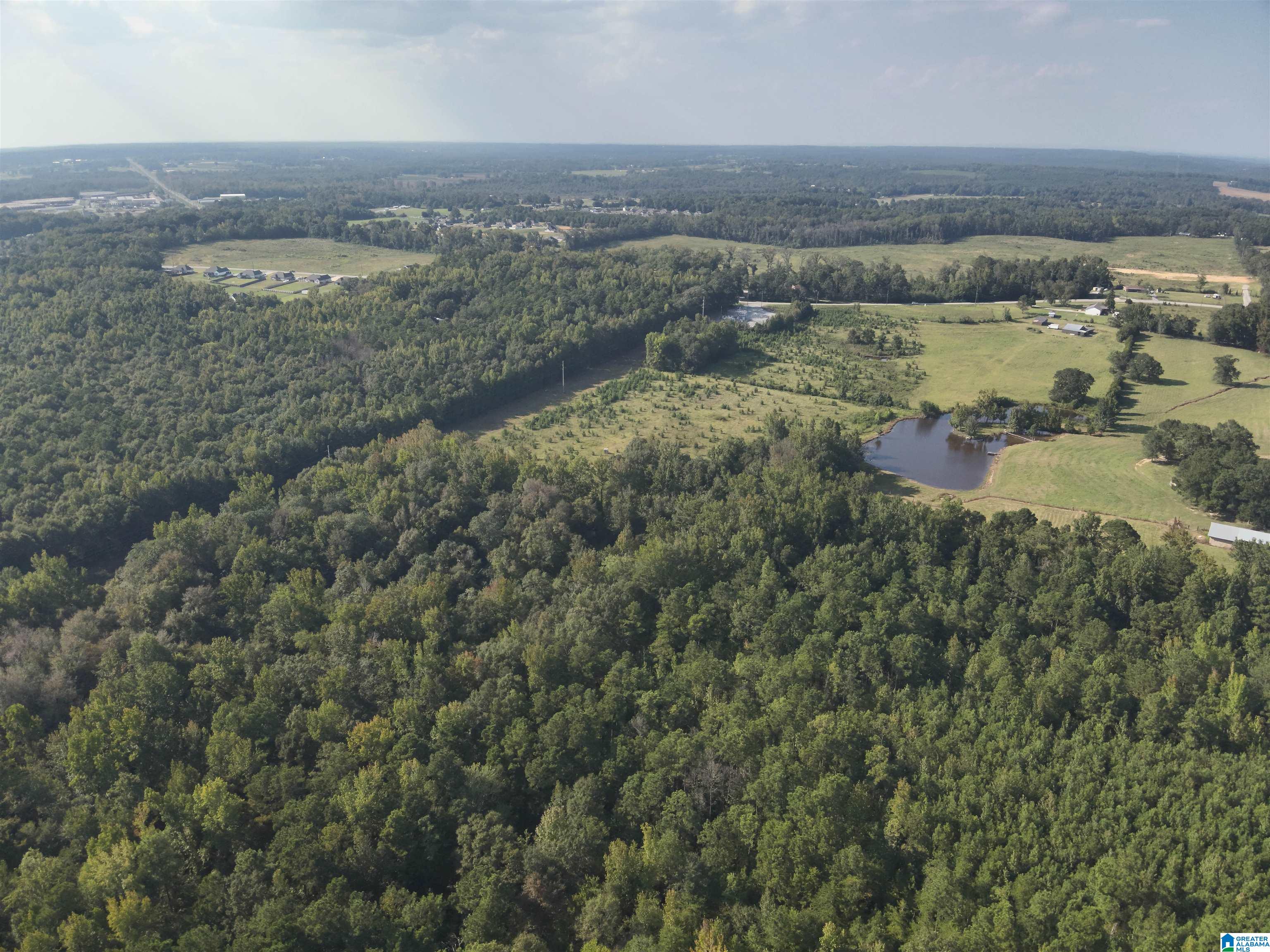 0 New Harmony Road, Unit 35 ACRES / Clanton, AL 35045 - Photo 16 of 21