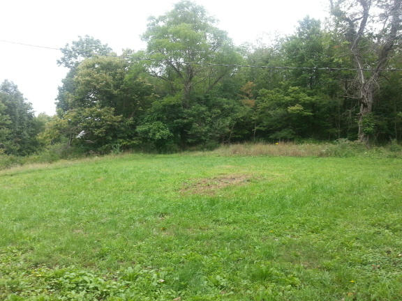 2753 Camp Carysbrook Road Riner, VA 24149 - Photo 16 of 19 a view of field with trees in the background