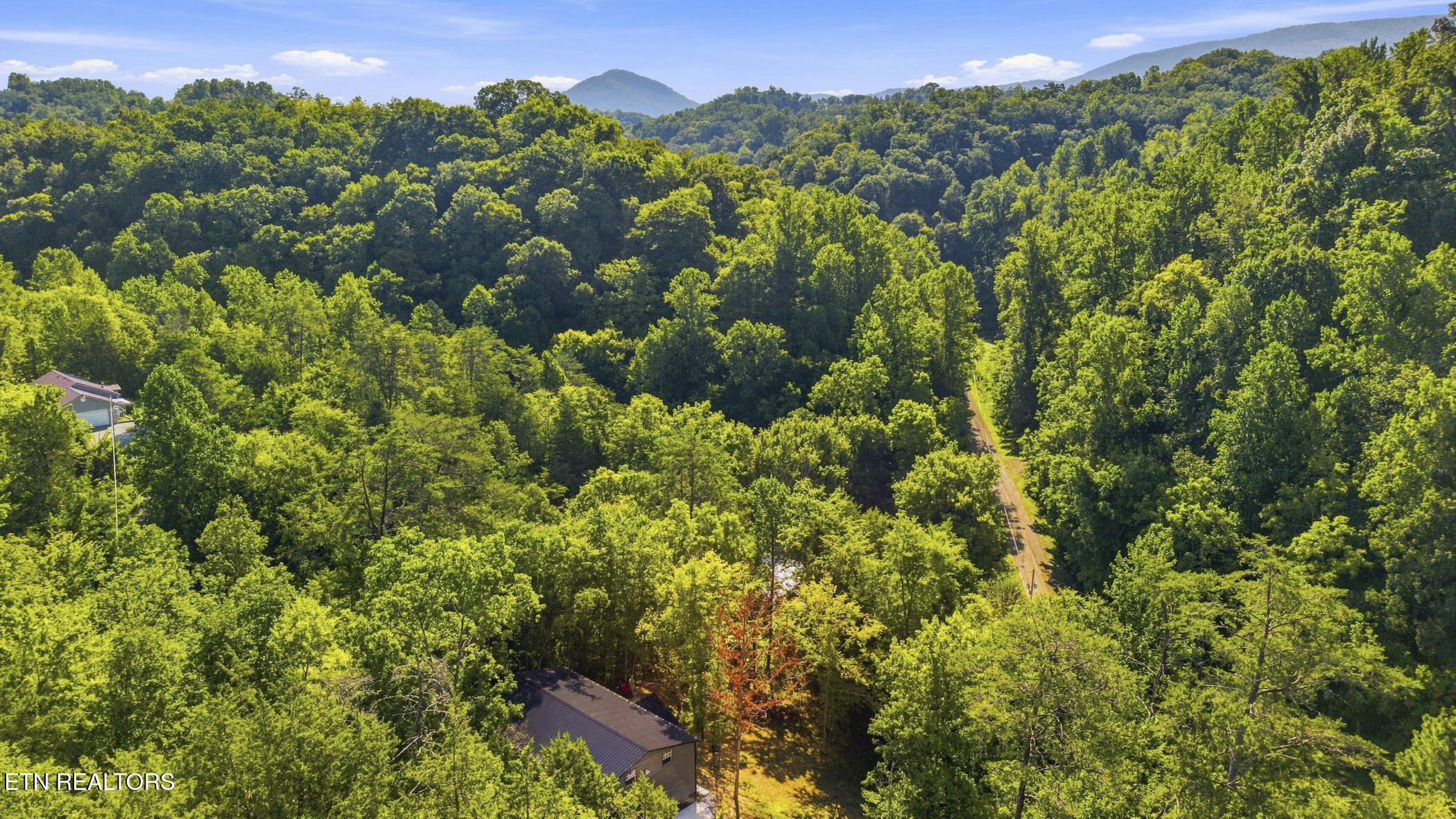 2453 Lower Rinehart Road Dandridge, TN 37725 - Photo 28 of 37 dji_20260824102744_0238_d