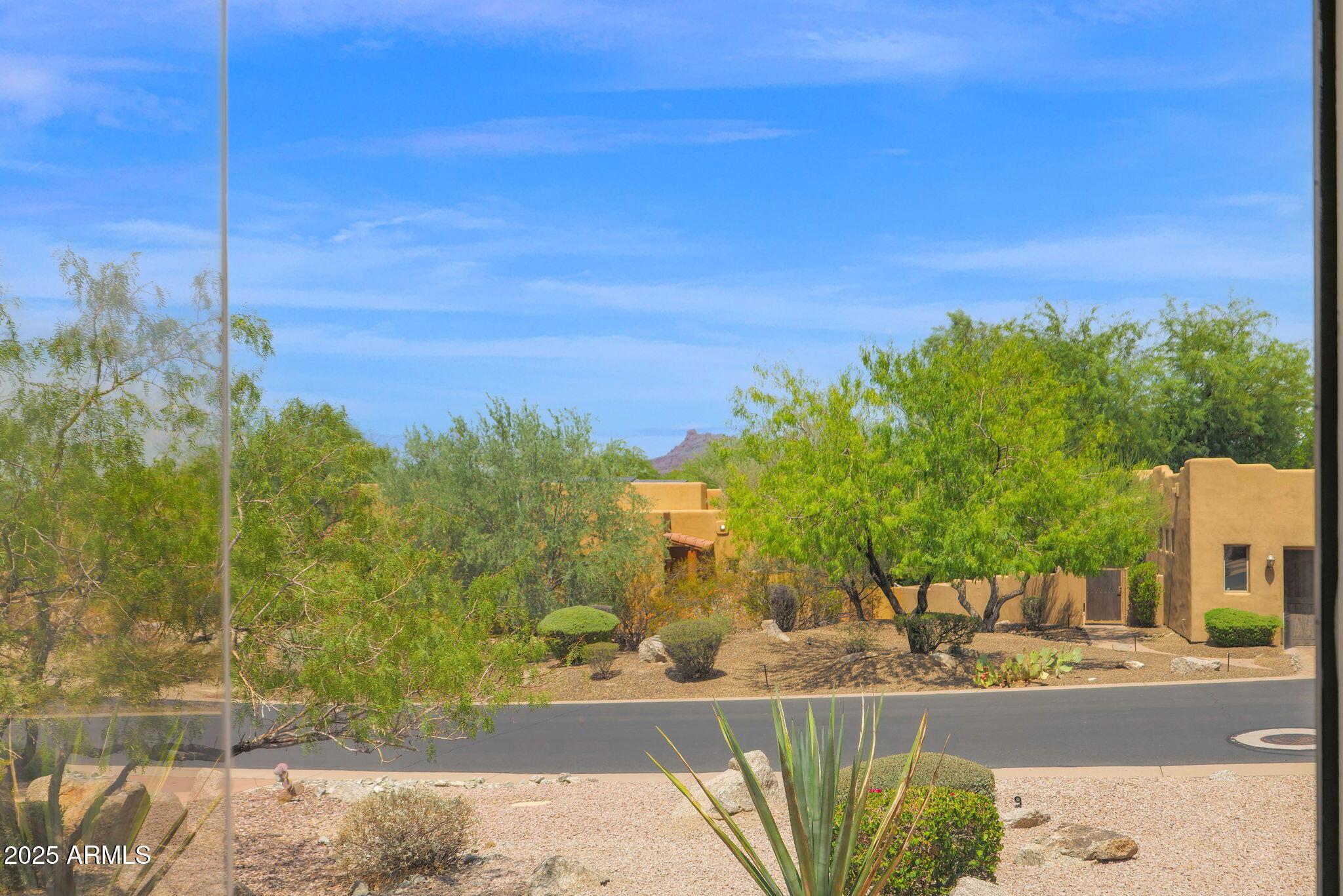 7130 East Saddleback Street, Unit 5 Mesa, AZ 85207 - Photo 25 of 57 a view of a yard with palm tree