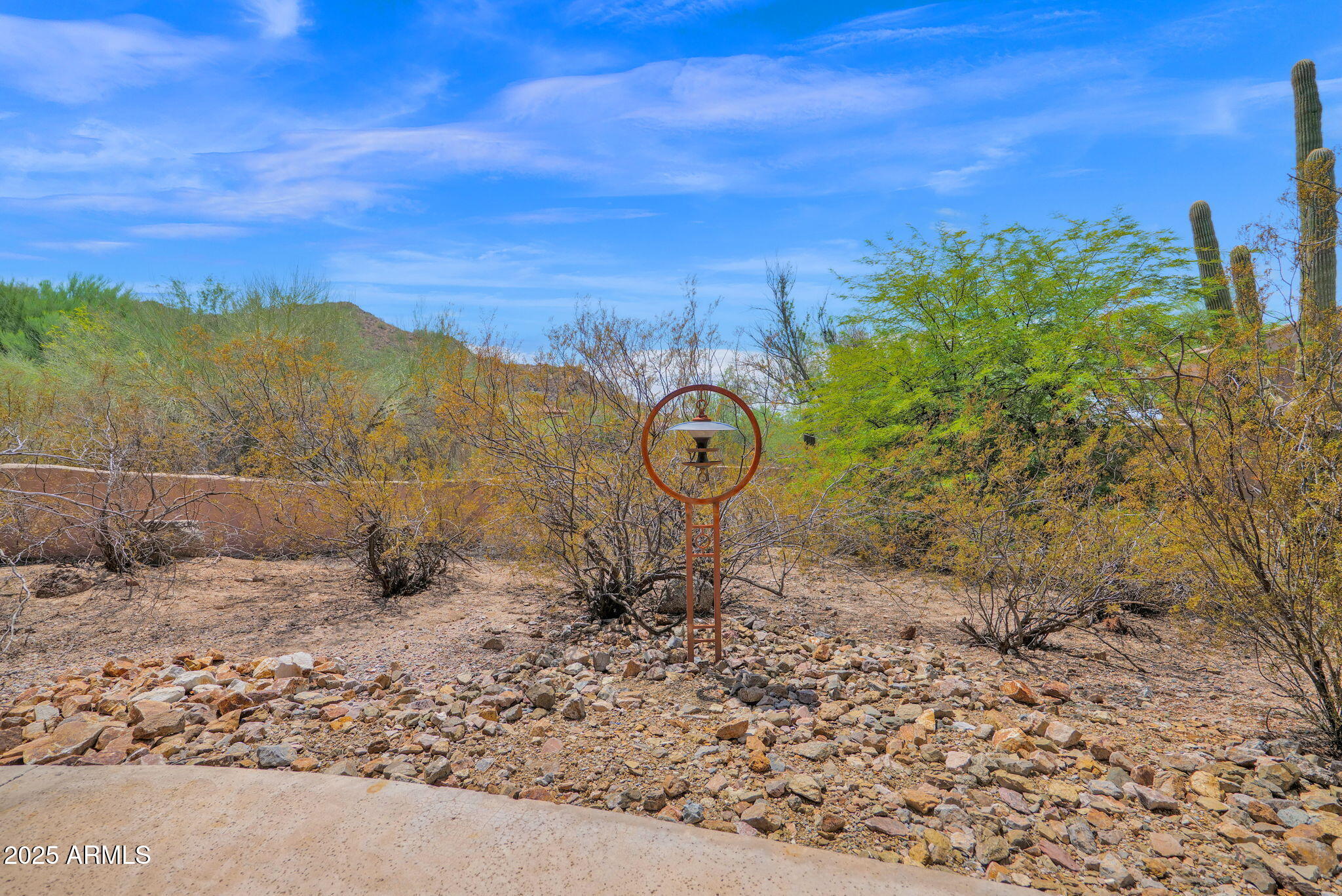 7130 East Saddleback Street, Unit 5 Mesa, AZ 85207 - Photo 41 of 57 a view of a yard with a tree