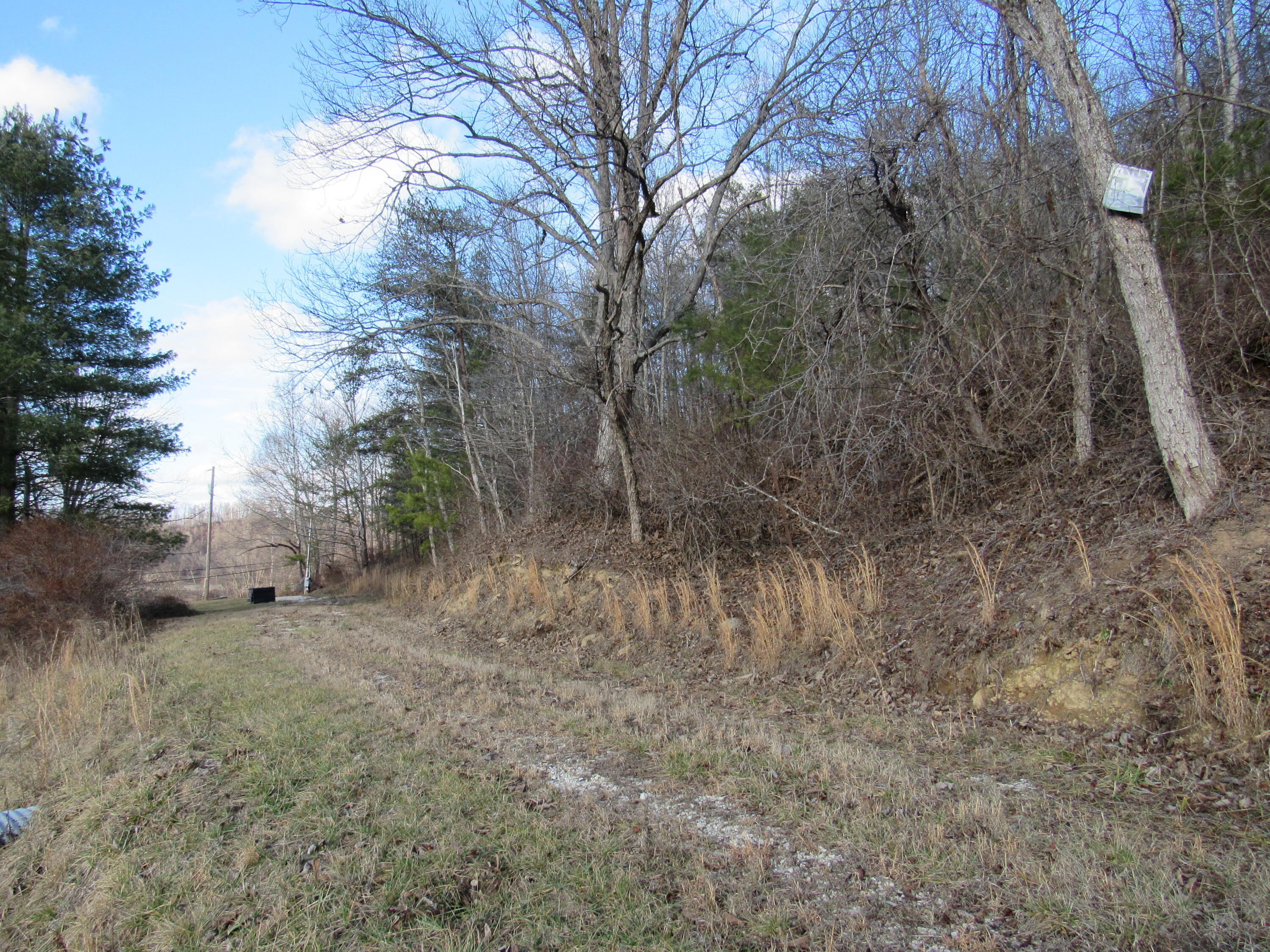 7006 Lacy Creek Road Hazel Green, KY 41332 - Photo 39 of 39 066