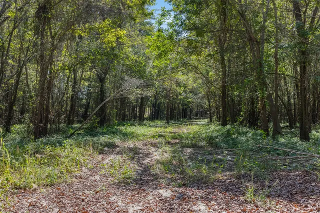 $824,999 | 21 East Midway Tx 75852, Midway, TX 75852