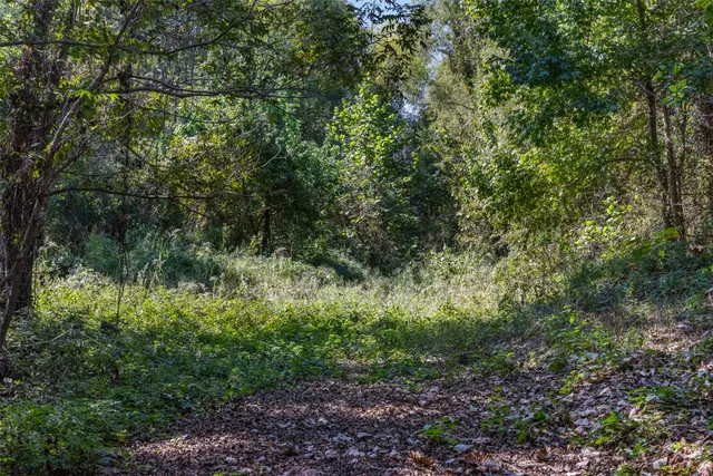 $824,999 | 21 East Midway Tx 75852, Midway, TX 75852