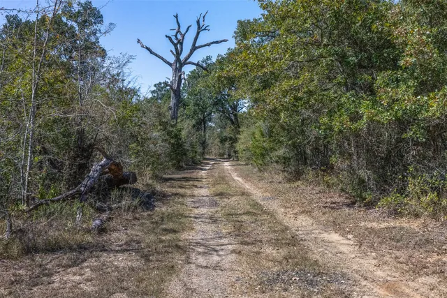 $824,999 | 21 East Midway Tx 75852, Midway, TX 75852