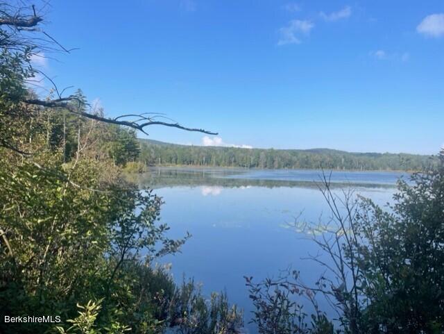 565 New State Road Savoy, MA 01256 - Photo 18 of 24 a view of lake with green space