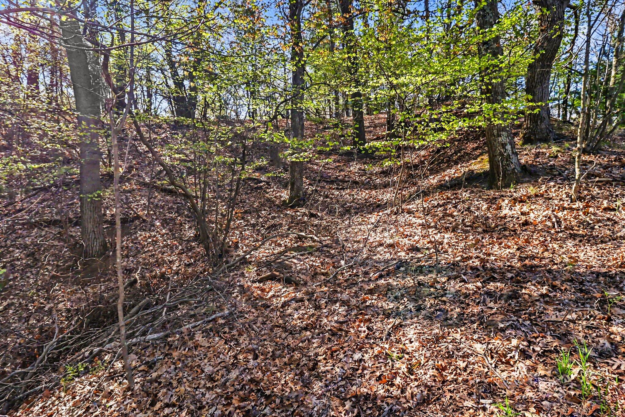 North Silver Ridge Road Mears, MI 49436 - Photo 2 of 14 file_9767