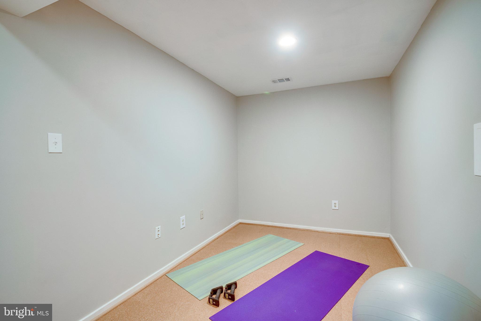 1656 Cedar Hollow Way Reston, VA 20194 - Photo 32 of 36 Bonus Exercise room or office