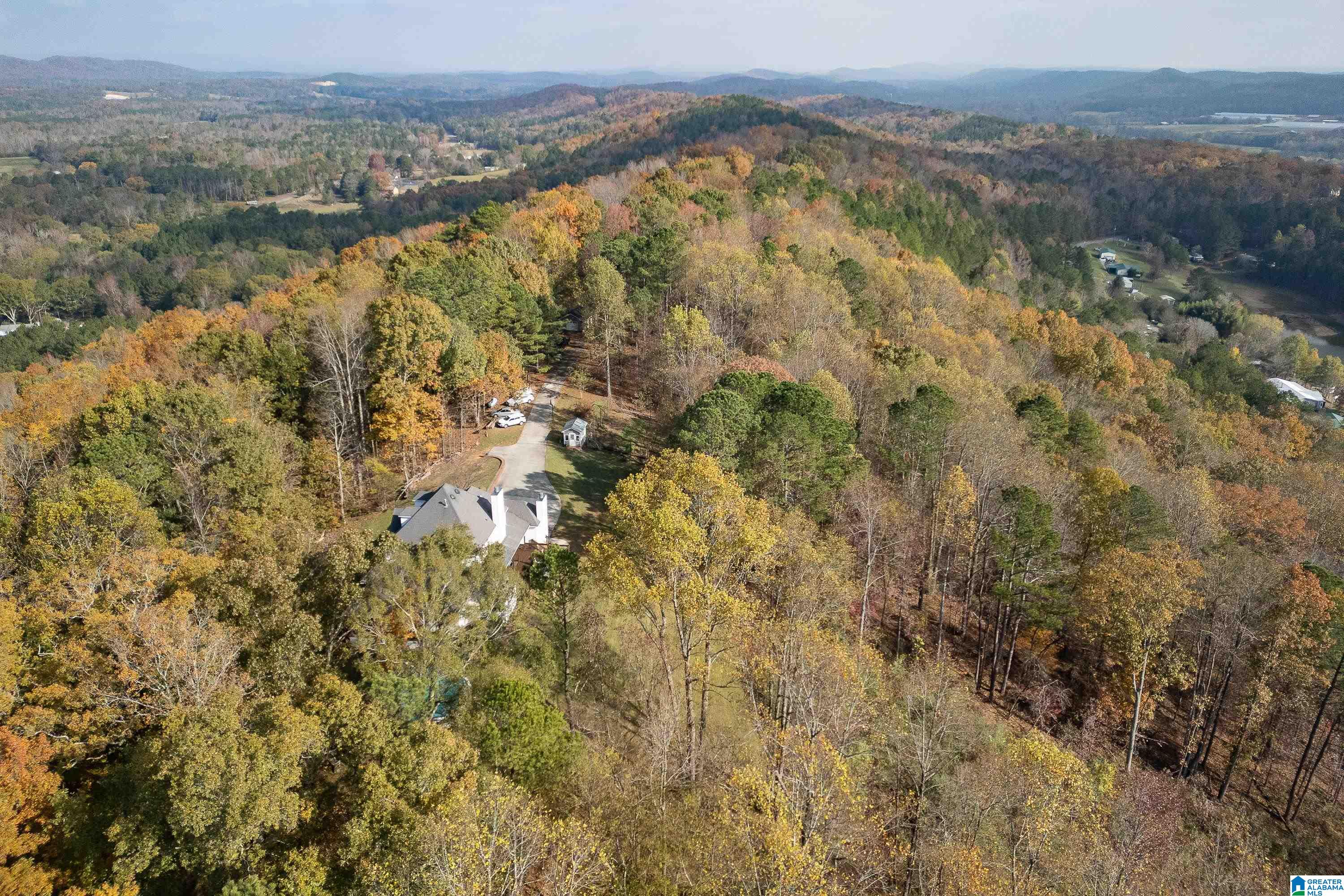 600 Honeysuckle Lane Springville, AL 35146 - Photo 49 of 77