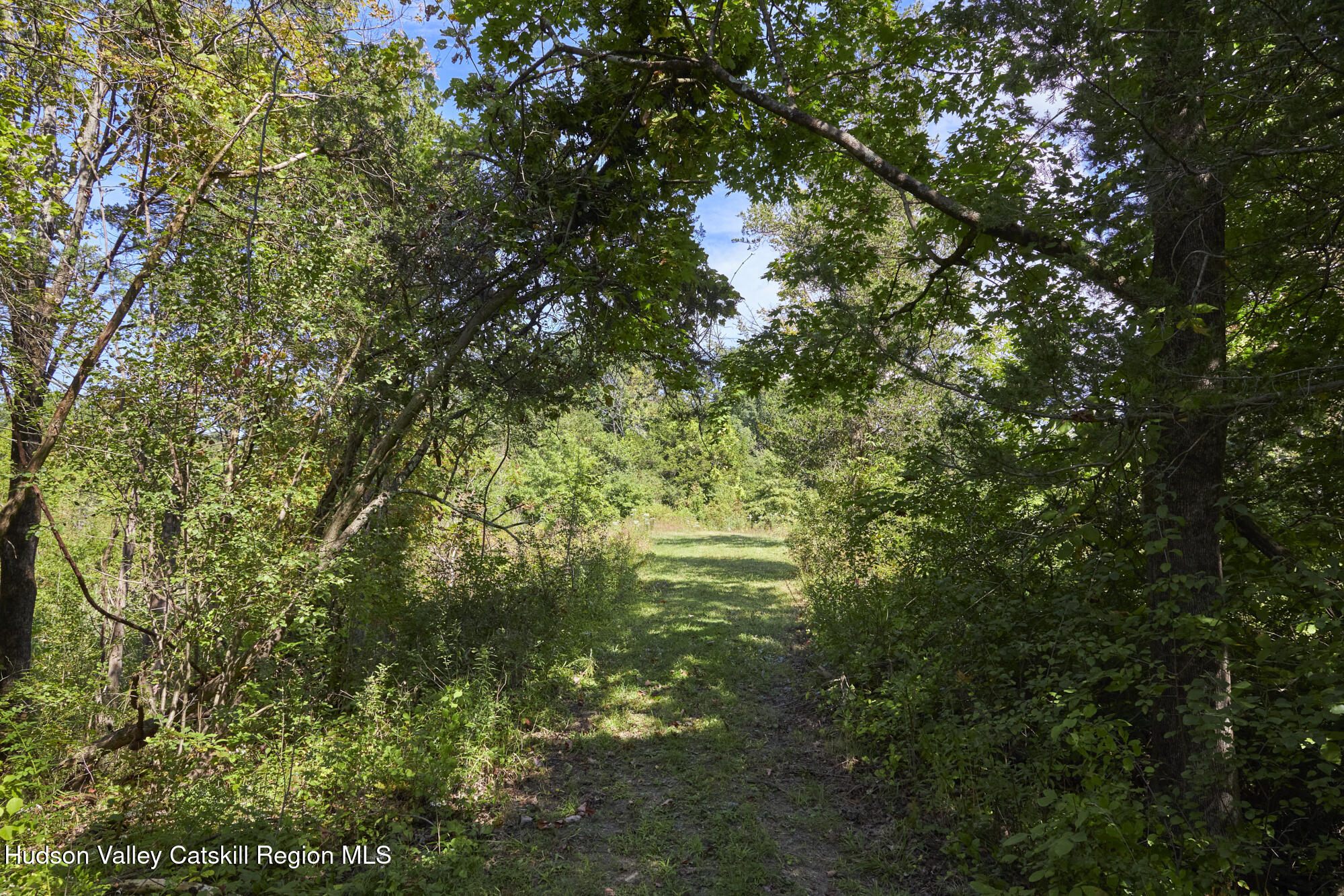 0 Mill Road Rhinebeck, NY 12572 - Photo 15 of 16
