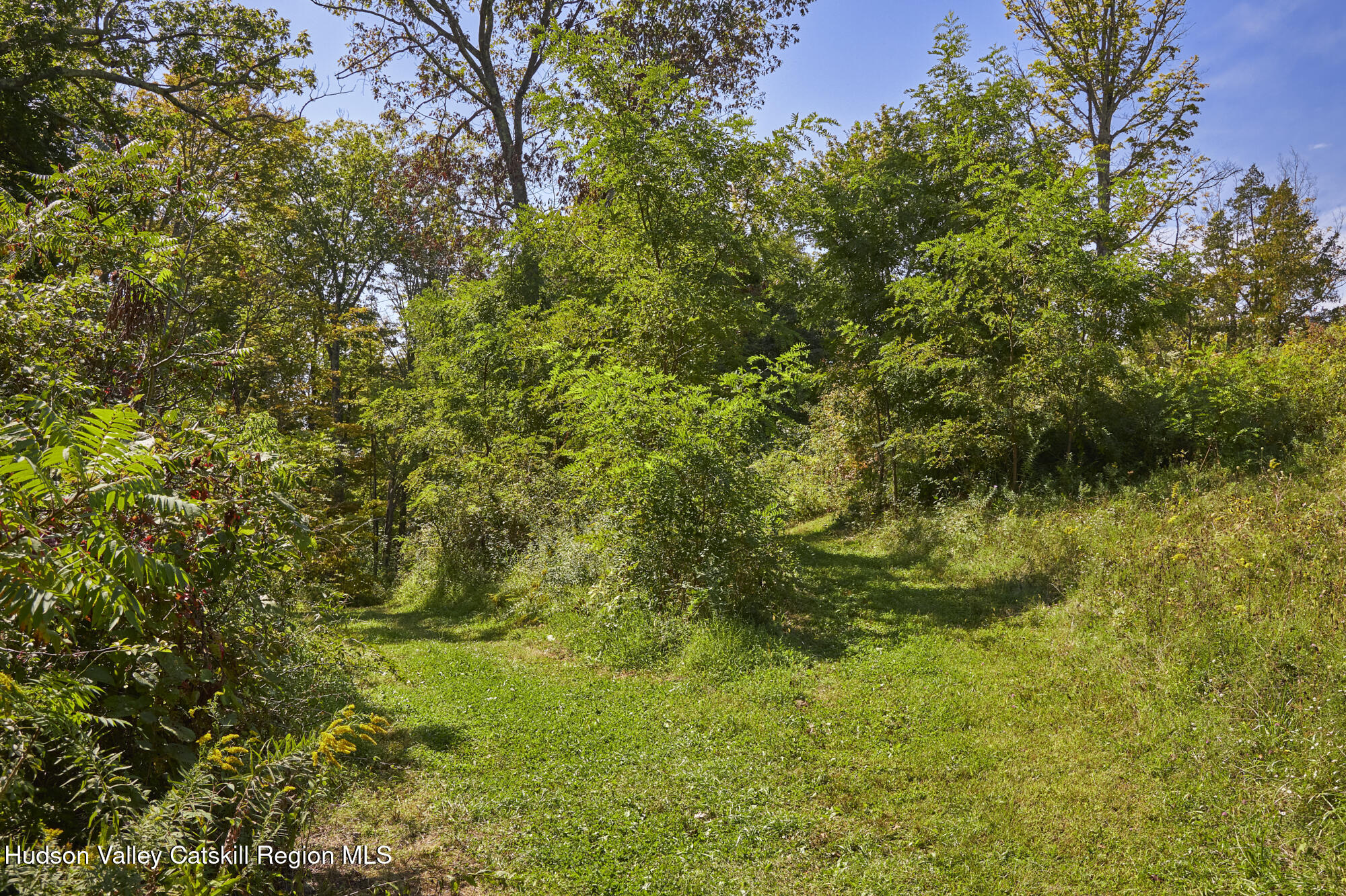 0 Mill Road Rhinebeck, NY 12572 - Photo 3 of 16 a view of a big yard with plants and large trees