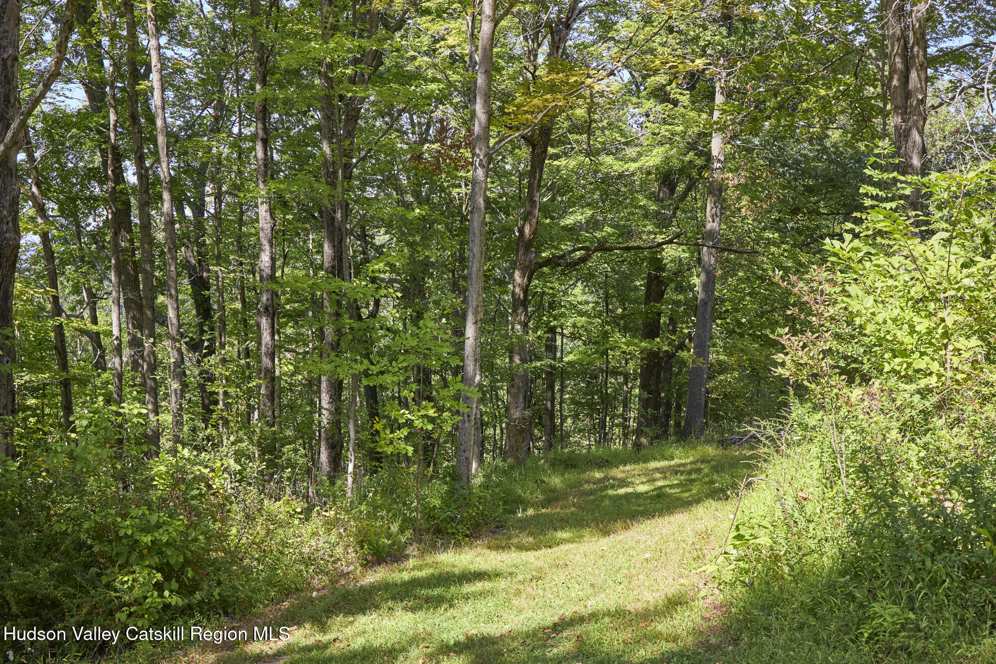 0 Mill Road Rhinebeck, NY 12572 - Photo 4 of 16 a view of a garden