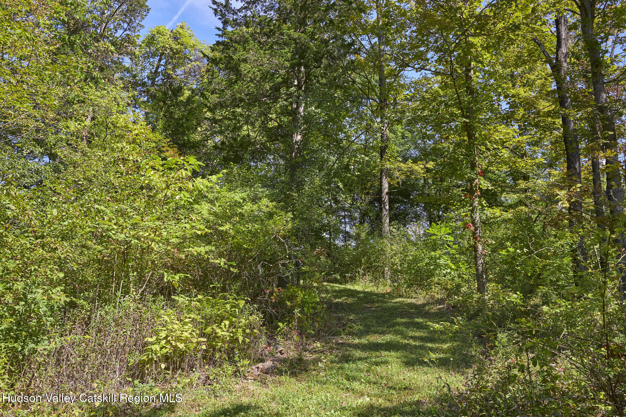 0 Mill Road Rhinebeck, NY 12572 - Photo 8 of 16