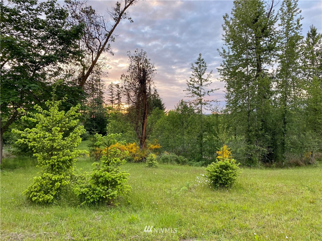 0 Old Gardiner Road Sequim, WA 98382 - Photo 11 of 31 Gallery Image 11
