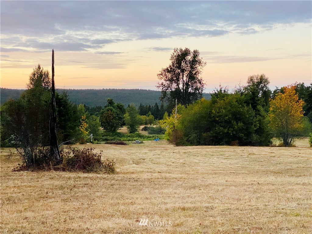 0 Old Gardiner Road Sequim, WA 98382 - Photo 12 of 31 Gallery Image 12