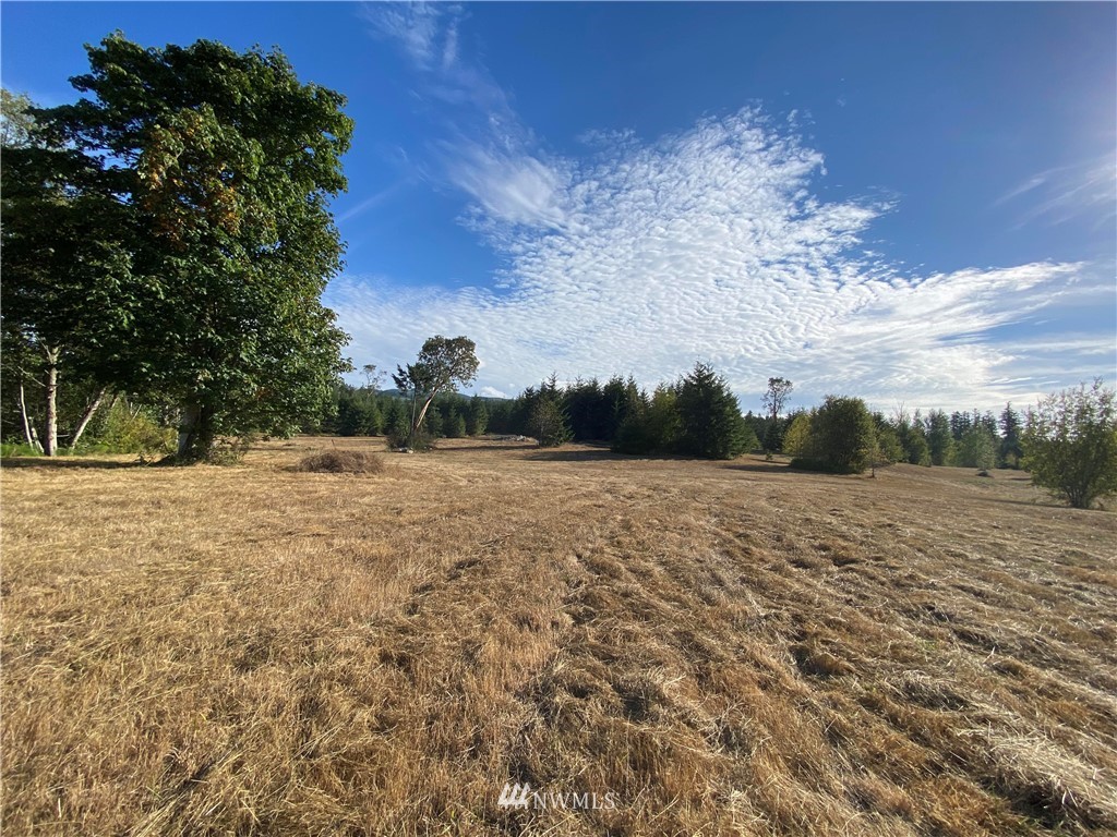 0 Old Gardiner Road Sequim, WA 98382 - Photo 15 of 31 Gallery Image 15