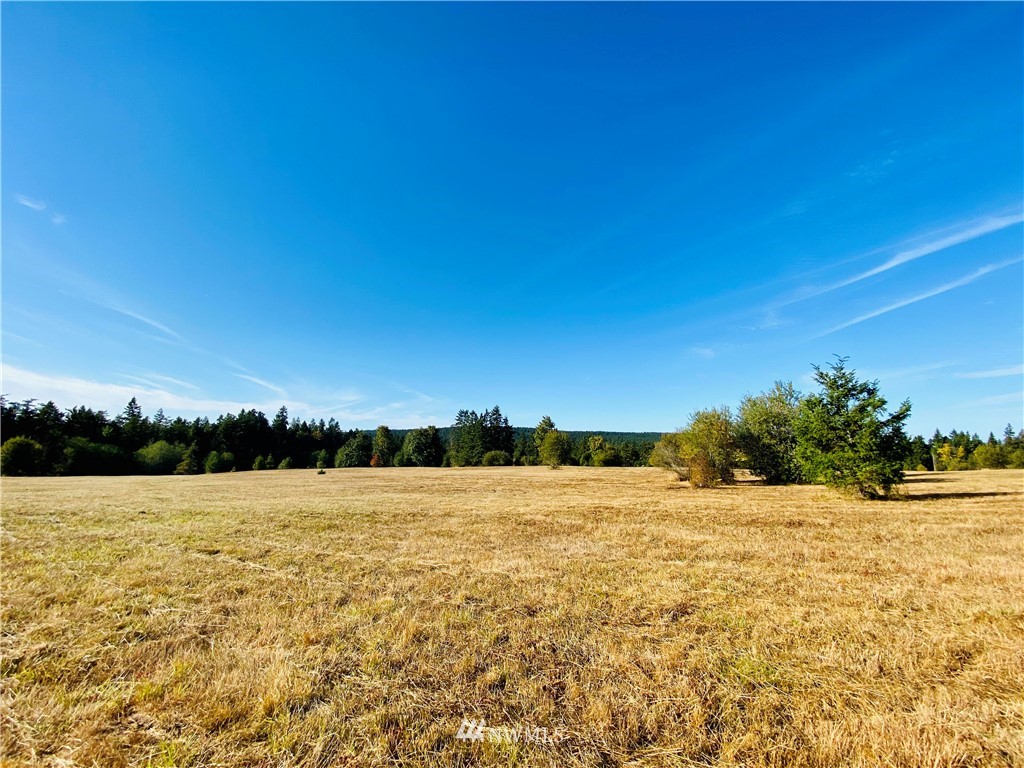 0 Old Gardiner Road Sequim, WA 98382 - Photo 17 of 31 Gallery Image 17