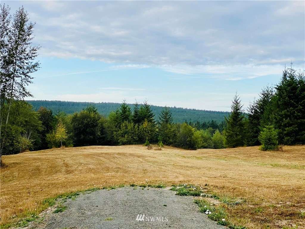 0 Old Gardiner Road Sequim, WA 98382 - Photo 20 of 31 Gallery Image 20