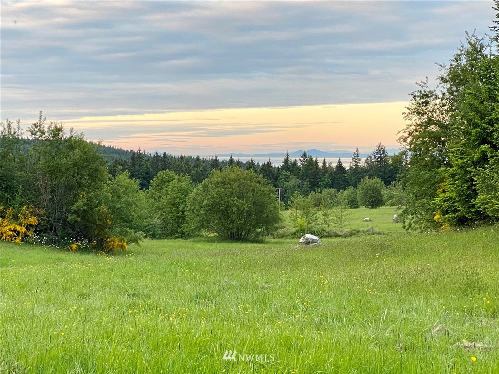 0 Old Gardiner Road Sequim, WA 98382 - Photo 3 of 31 Gallery Image 3