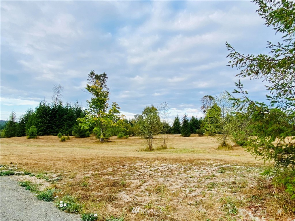 0 Old Gardiner Road Sequim, WA 98382 - Photo 21 of 31 Gallery Image 21