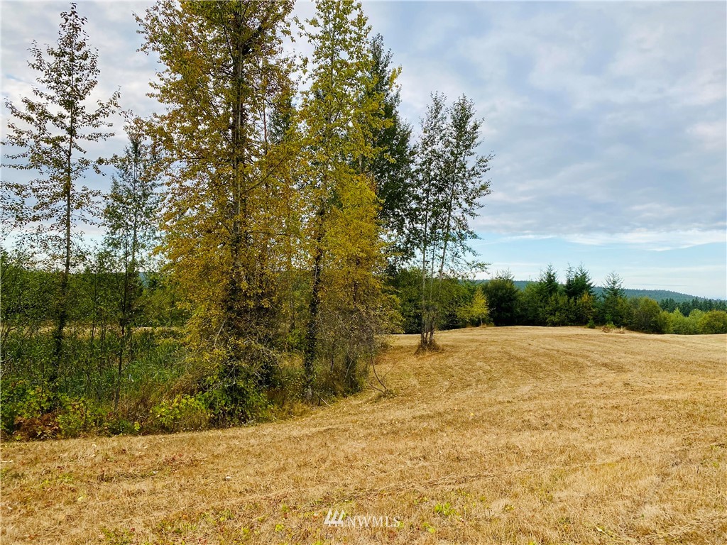 0 Old Gardiner Road Sequim, WA 98382 - Photo 23 of 31 Gallery Image 23