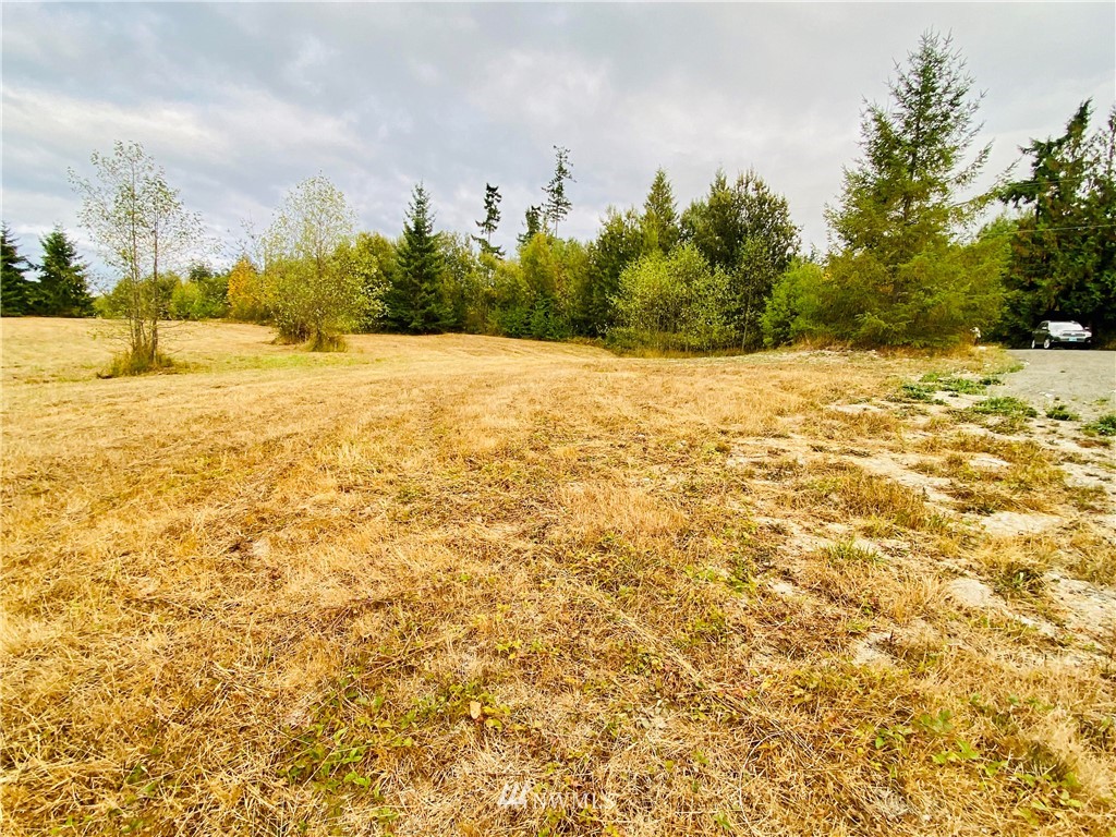 0 Old Gardiner Road Sequim, WA 98382 - Photo 24 of 31 Gallery Image 24