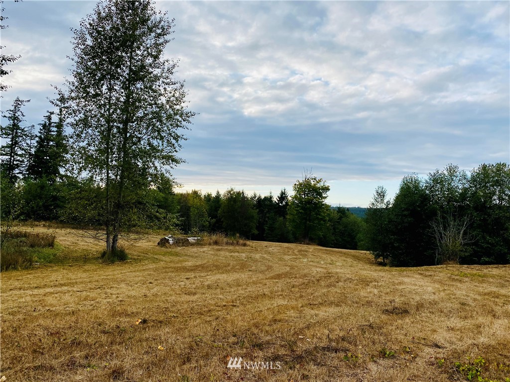 0 Old Gardiner Road Sequim, WA 98382 - Photo 25 of 31 Gallery Image 25