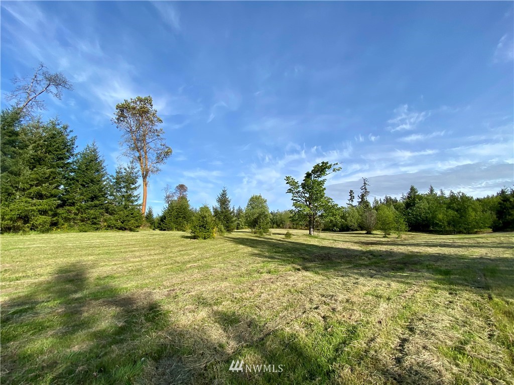 0 Old Gardiner Road Sequim, WA 98382 - Photo 6 of 31 Gallery Image 6