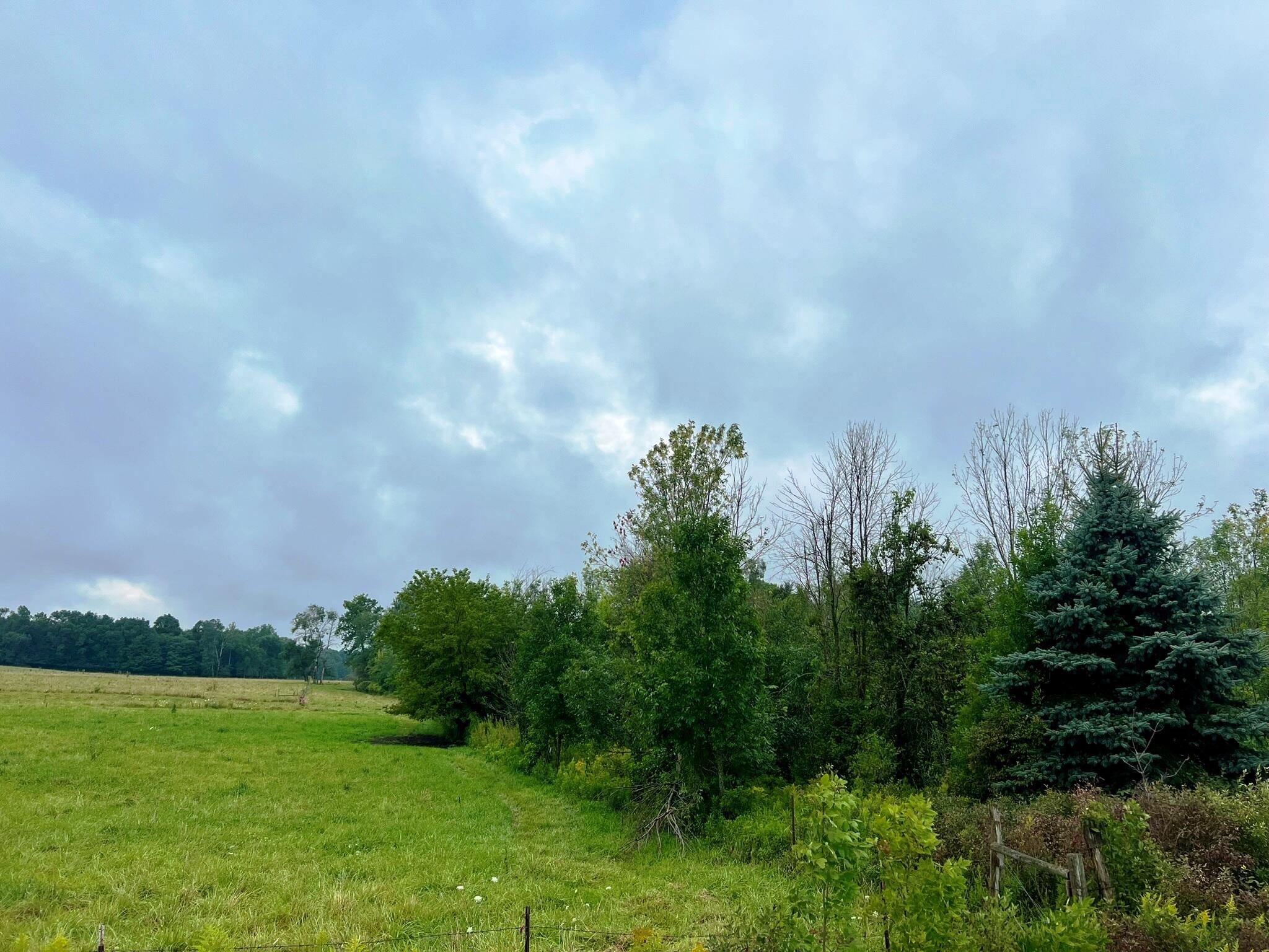 18207 4 Mile Road, Unit PAR 1 Morley, MI 49336 - Photo 11 of 33 IMG_8389