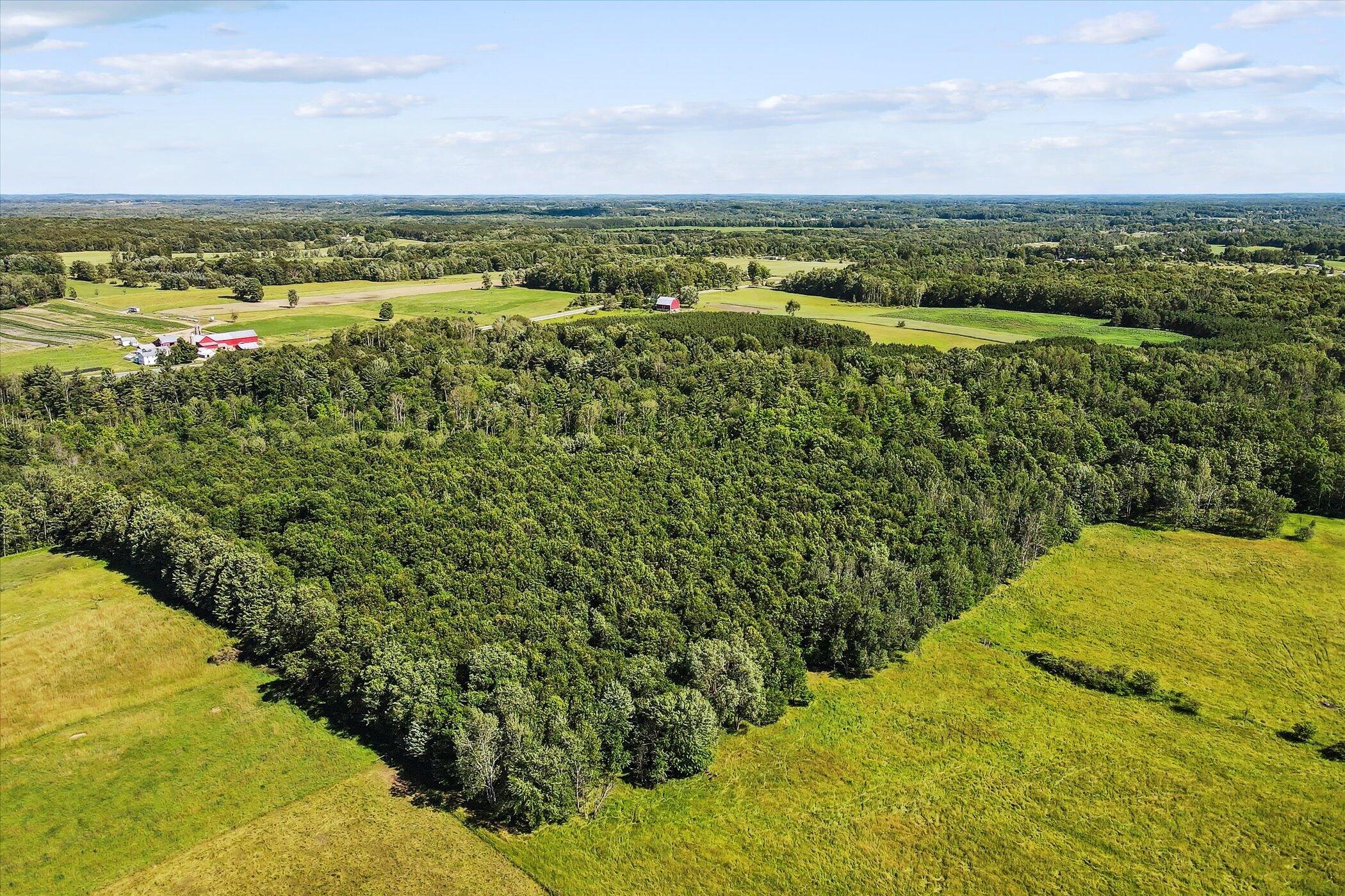 18207 4 Mile Road, Unit PAR 1 Morley, MI 49336 - Photo 16 of 33 077-18270-4-Mile-Rd-Morley-MI-49336-Wind