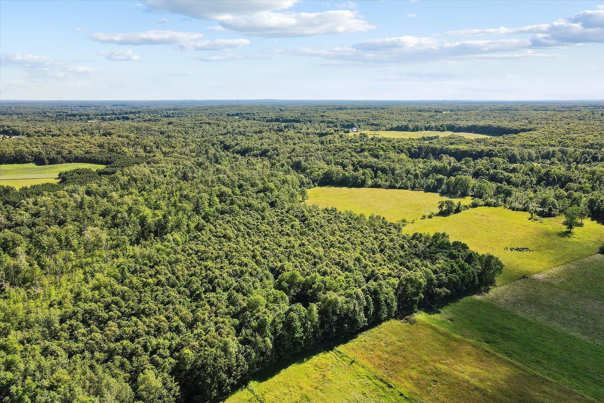 18207 4 Mile Road, Unit PAR 1 Morley, MI 49336 - Photo 2 of 33 108-18270-4-Mile-Rd-Morley-MI-49336-Wind