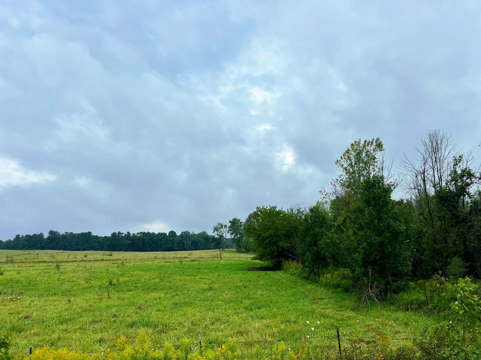 18207 4 Mile Road, Unit PAR 1 Morley, MI 49336 - Photo 25 of 33 IMG_8387