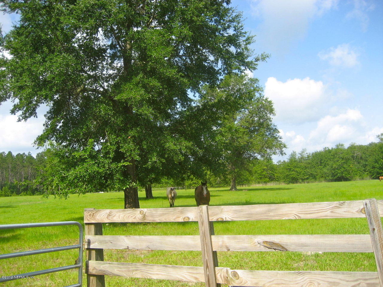 0 River Bend Road Glen St. Mary, FL 32040 - Photo 2 of 7 Fenced and Cleared