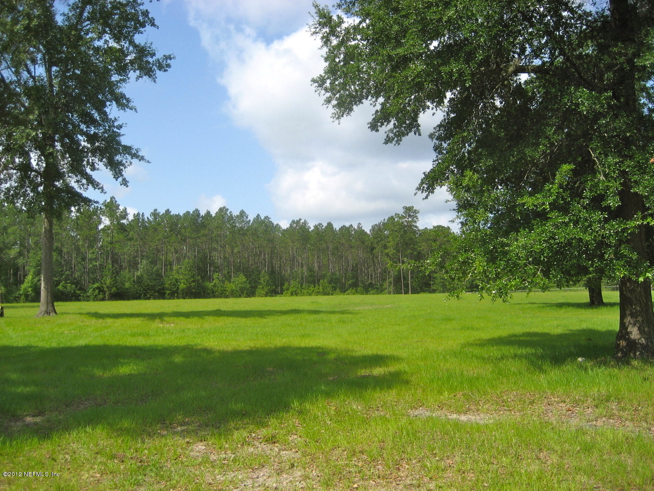 0 River Bend Road Glen St. Mary, FL 32040 - Photo 4 of 7 Greenbelt