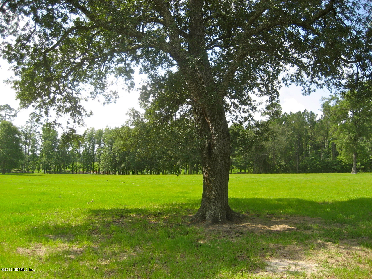 0 River Bend Road Glen St. Mary, FL 32040 - Photo 6 of 7 Land