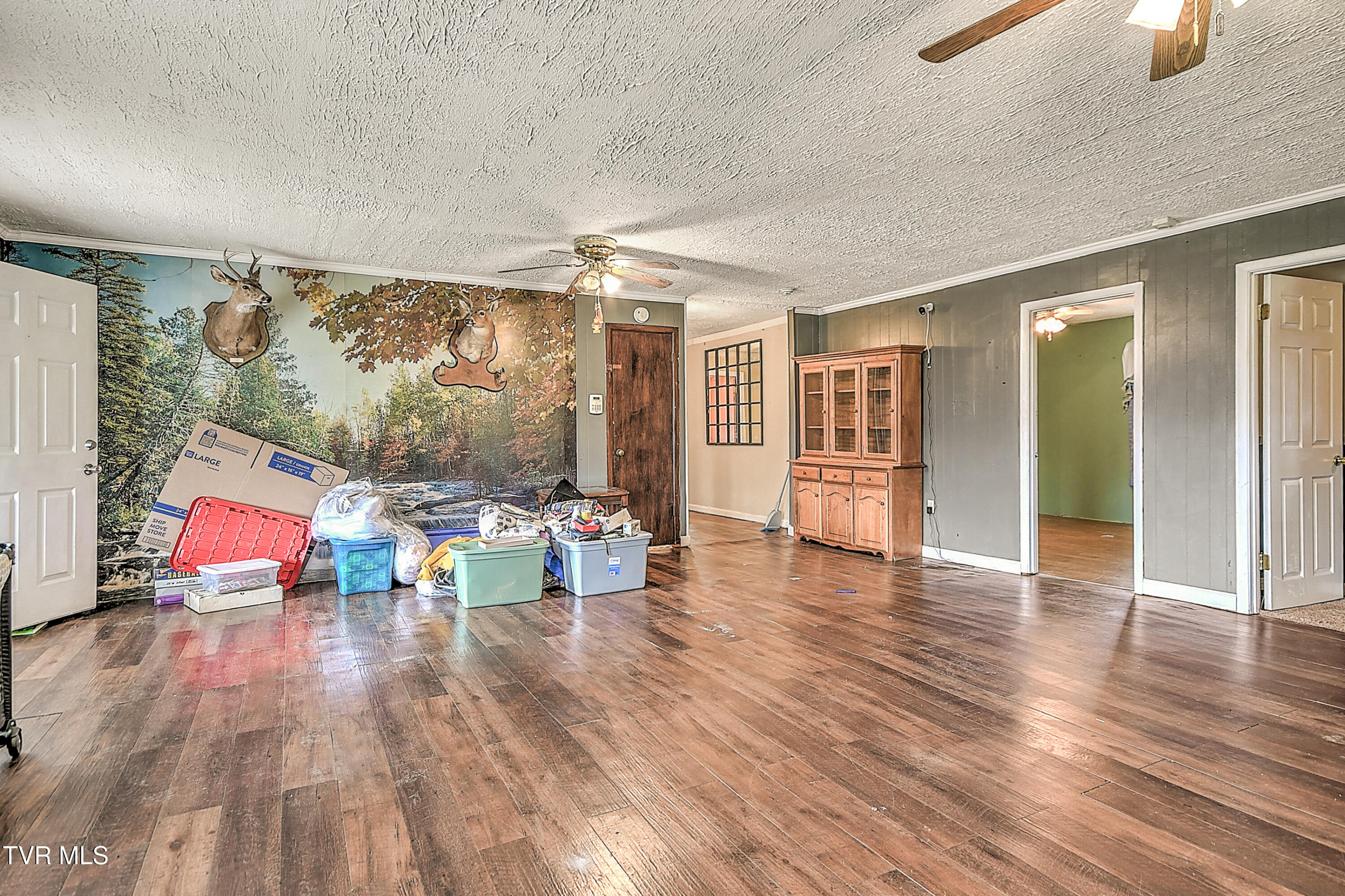 875 Pitt Loop Chuckey, TN 37641 - Photo 11 of 46 875 Pitt Loop KO-6