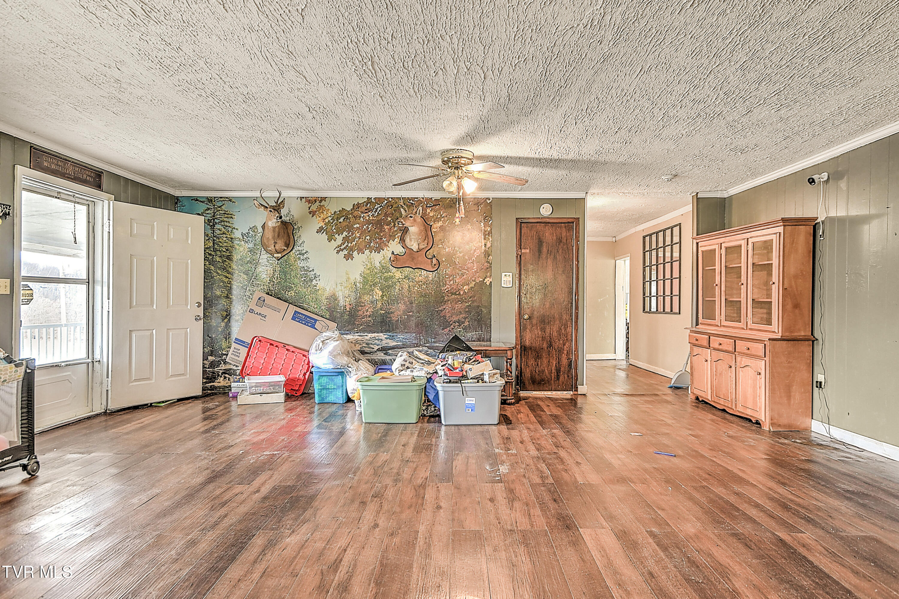 875 Pitt Loop Chuckey, TN 37641 - Photo 12 of 46 875 Pitt Loop KO-7