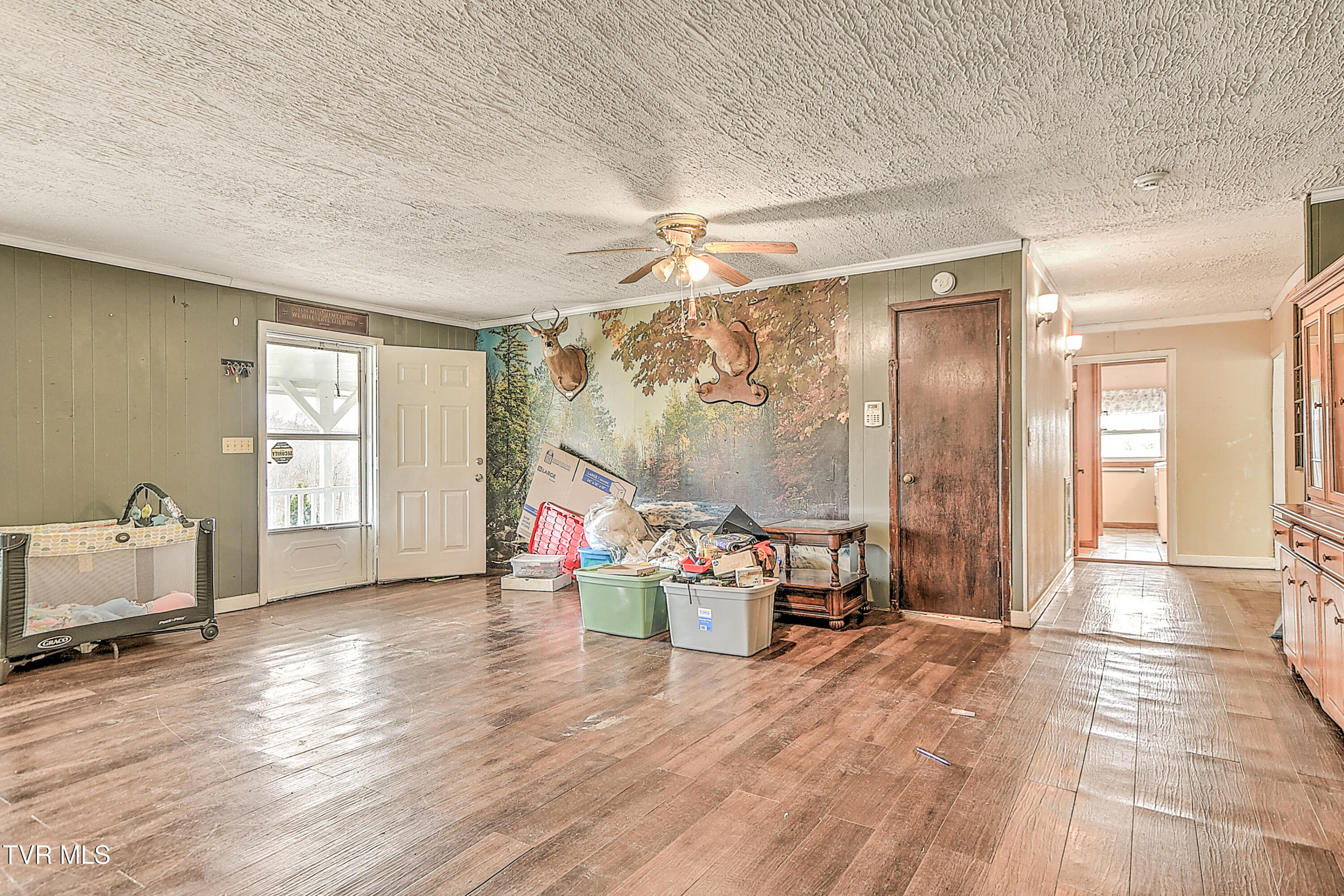 875 Pitt Loop Chuckey, TN 37641 - Photo 13 of 46 875 Pitt Loop KO-8
