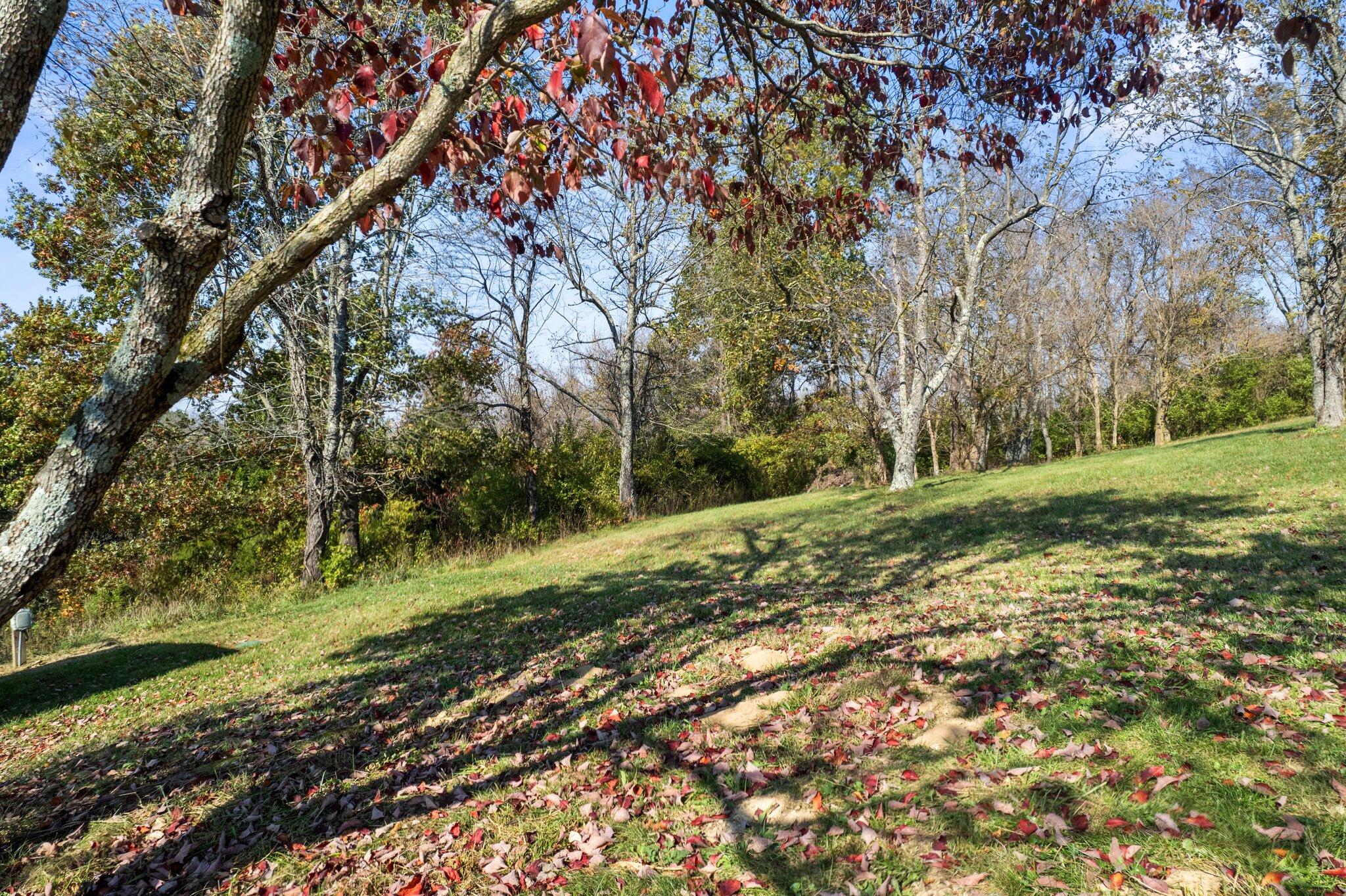 90 Joyce Way Augusta, KY 41002 - Photo 21 of 35 Gallery Image 21