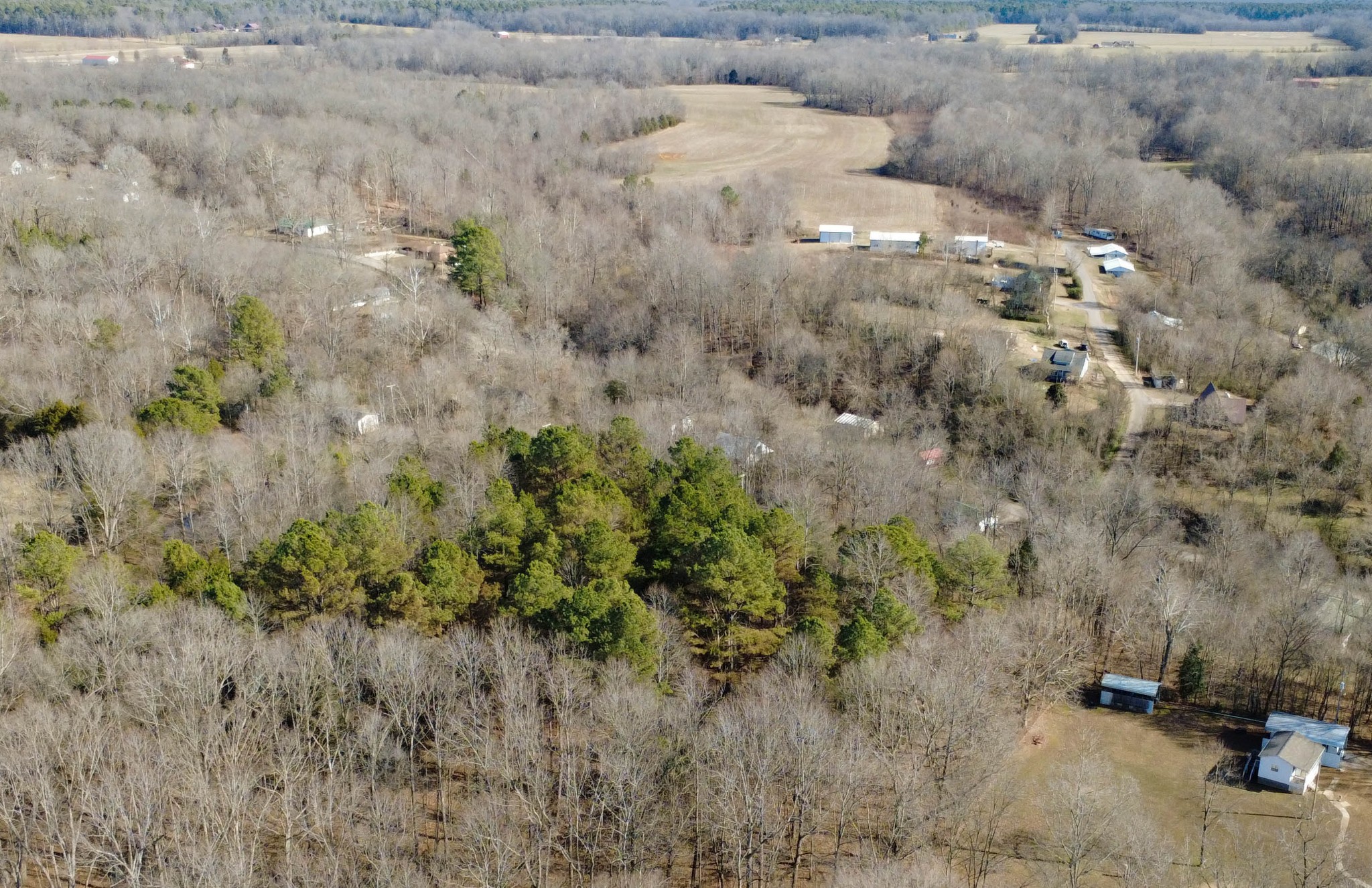 531 Big Rock Road Big Rock, TN 37023 - Photo 32 of 42